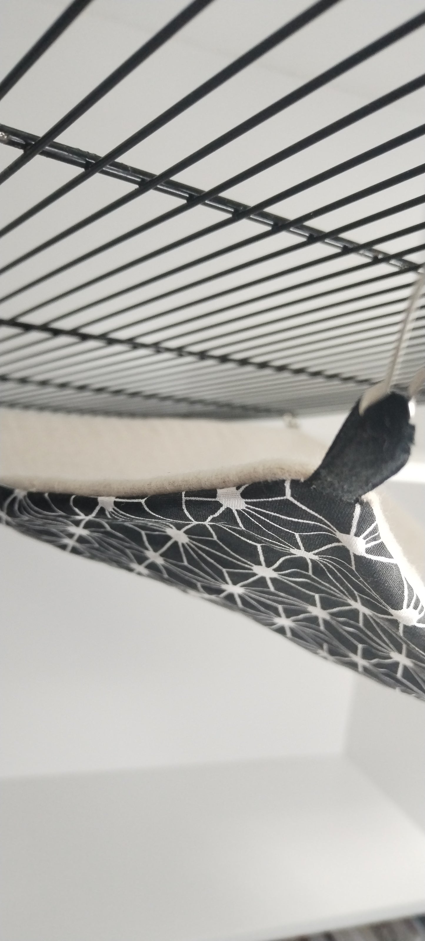 HAMAC SIMPLE | NAC