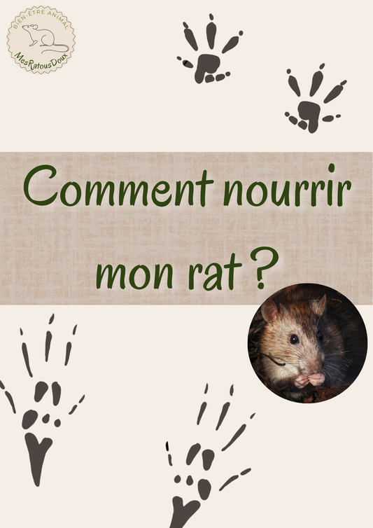 E-book Comment nourrir mon rat ?