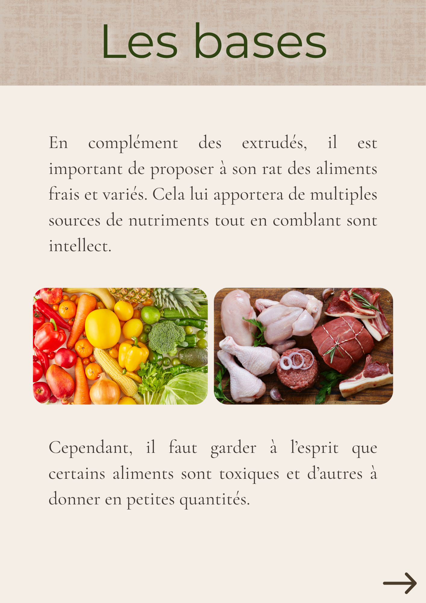 E-book Comment nourrir mon rat ?